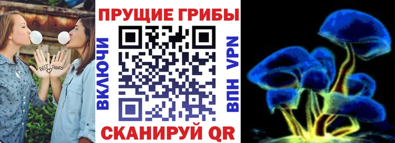 Псилоцибиновые грибы Magic Shrooms Староминская