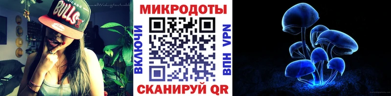 даркнет телеграм Староминская Псилоцибиновые грибы GOLDEN TEACHER наркотики